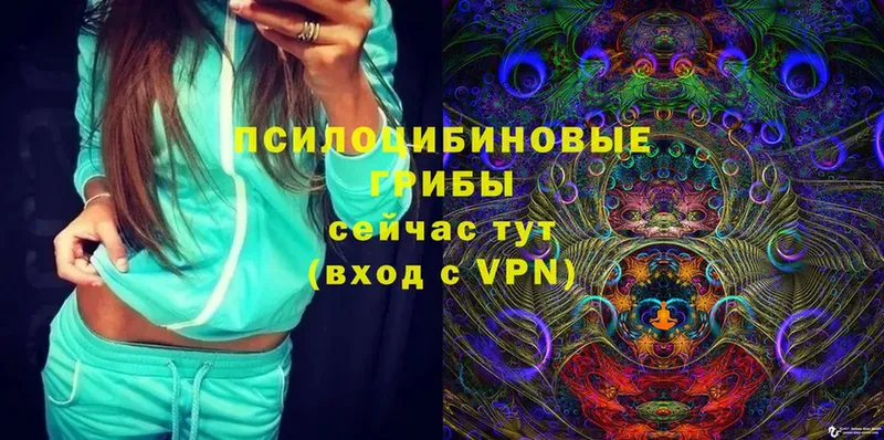 Псилоцибиновые грибы Magic Shrooms  Разумное 